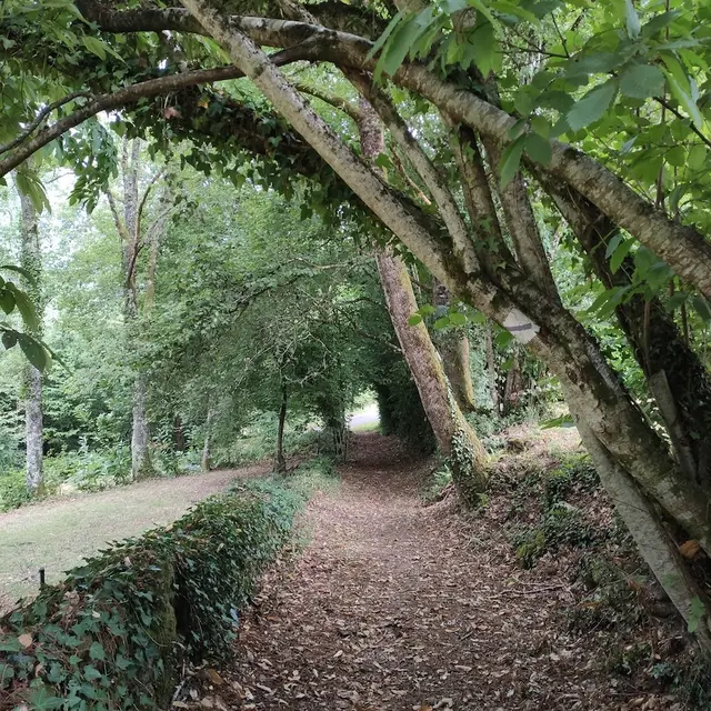 Chemin du Larron(c)Pays Monts et Barrages