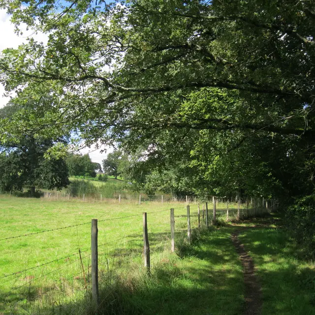 Chemin du Moulin Blanc