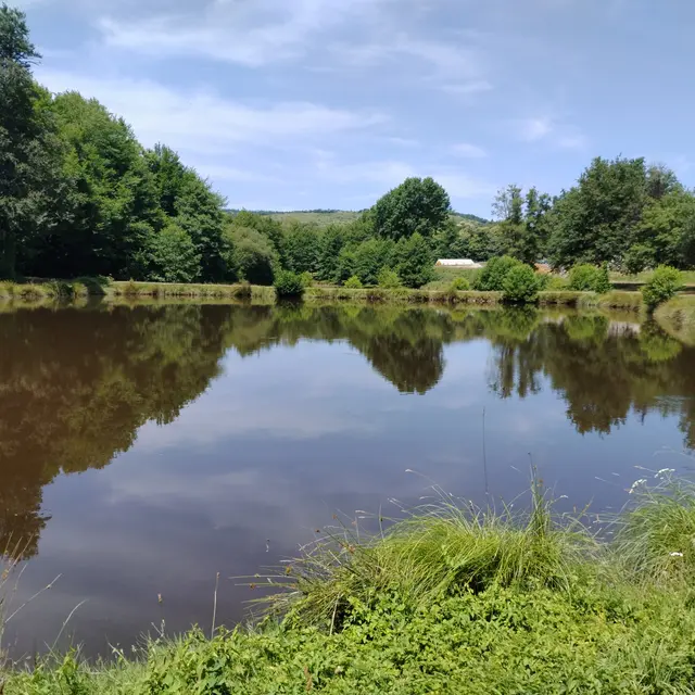 DomaineMuret_Etang