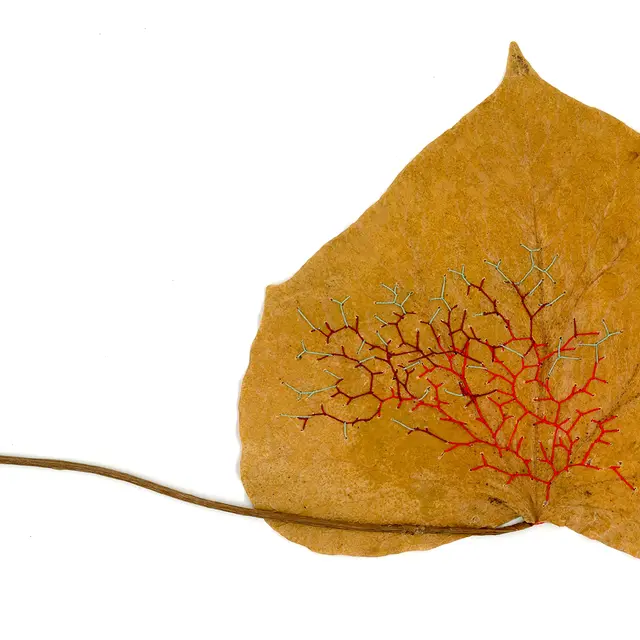 Wild Leaves EN 2026