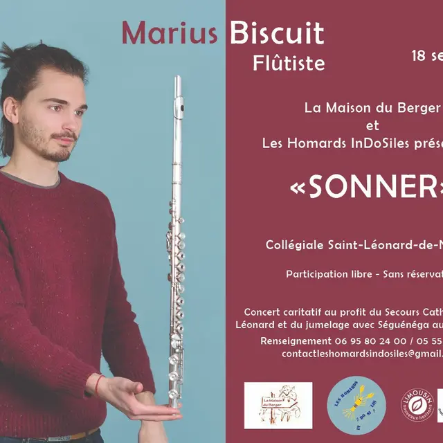 Marius Biscuit en concert