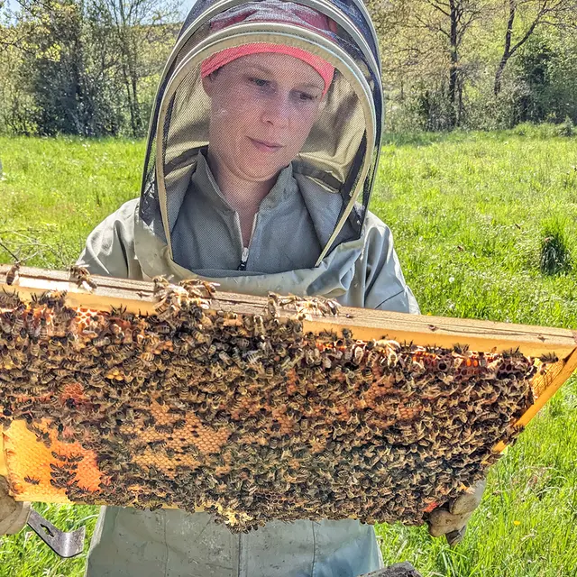 Melodie des abeilles