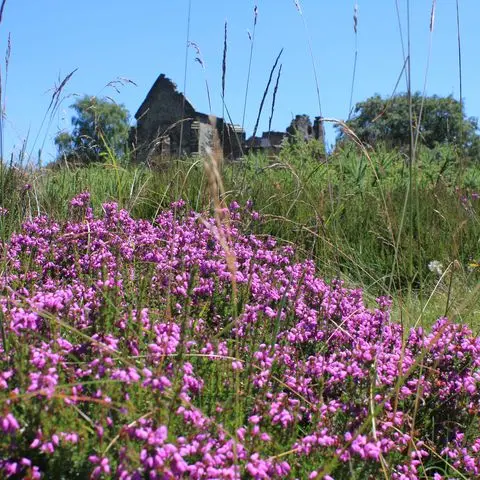 Mont Gargan