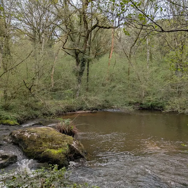 PXL_20260410_082224184.MP