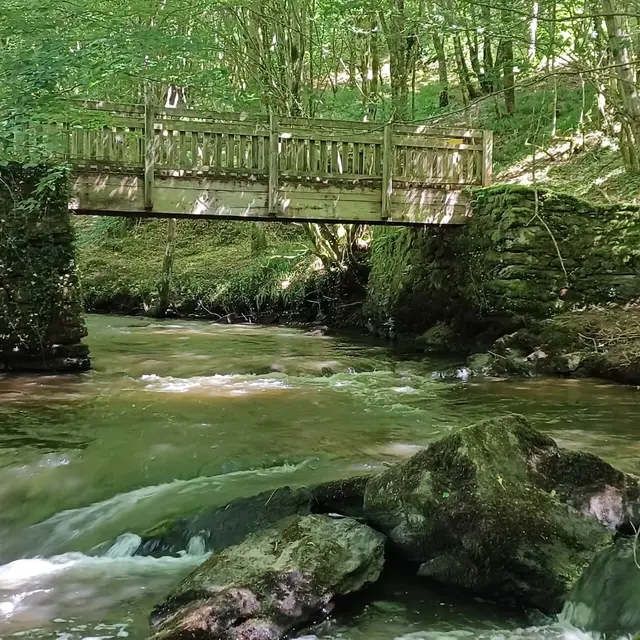 Passerelle sur le Briance