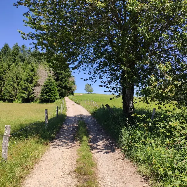 Photo vitrine 1 -Sur le chemin du Léry