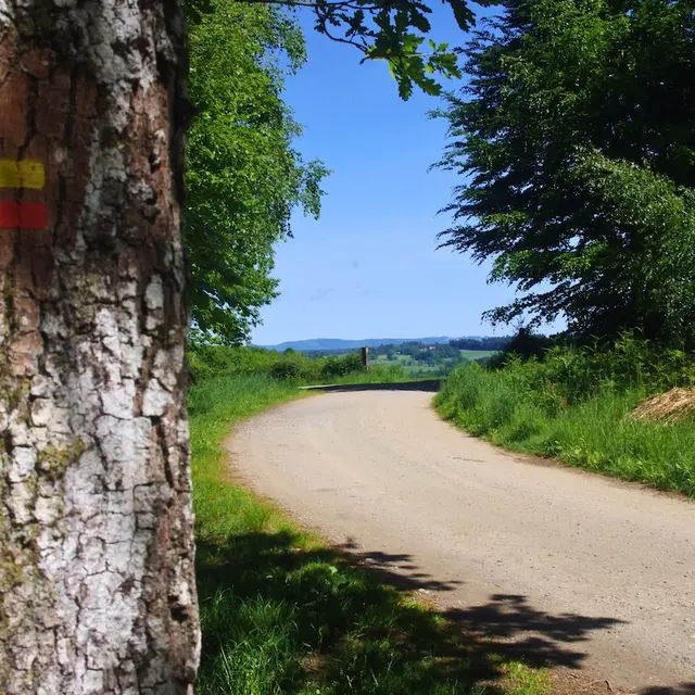 Piste de Lifarnet - GRPMBL - (St-Léonard-de-Noblat) - Mai 2025
