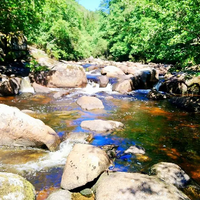 Rochers de Négremont  (1)