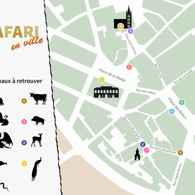 Safari © VDL