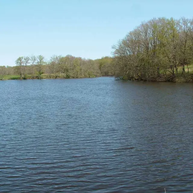 Sentier Les Oiseaux_1