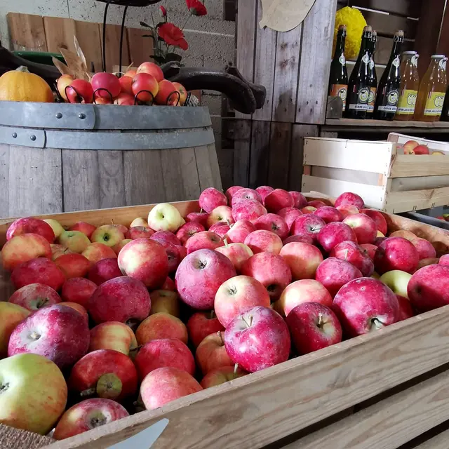 Vergers de St LaurentA