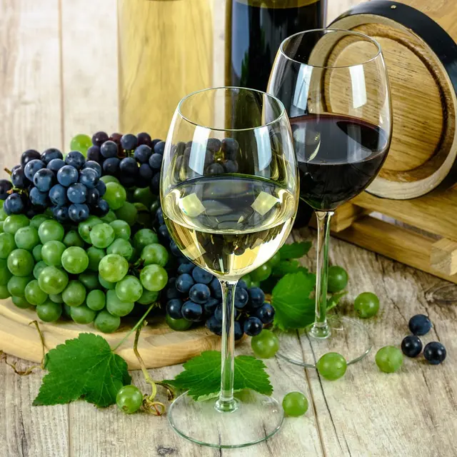 Salon des vins
