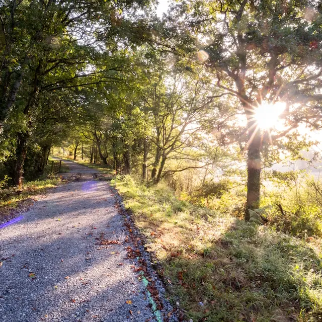 Voie Verte LA Chèvrerie- Le Dorat - Septembre 2023 - C JACQUINET-7914