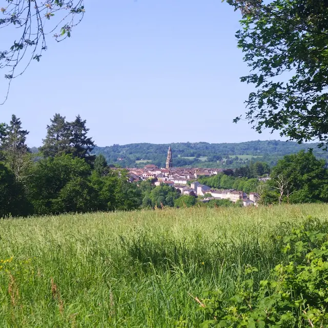 Vue sur Saint-Léonard - Chemin de Lachaud (St-Léonard-de-Noblat) - Mai 2025