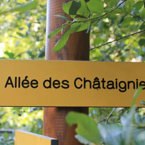 alleechataigniers