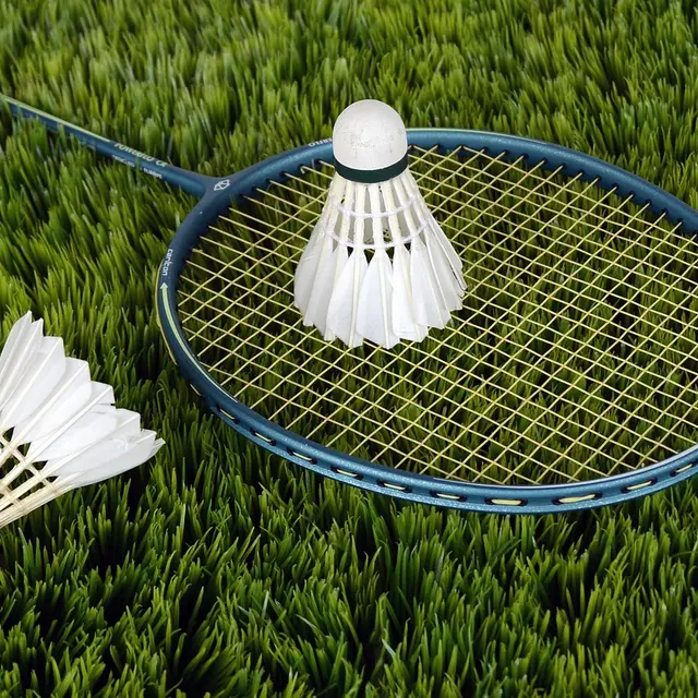 anncapictures-badminton