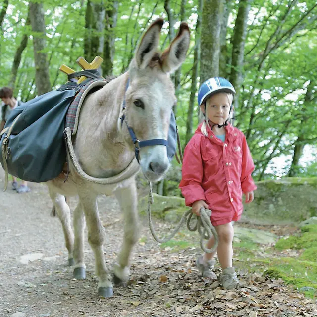 Ferme pédagogique Les Anes de Vassivière_1