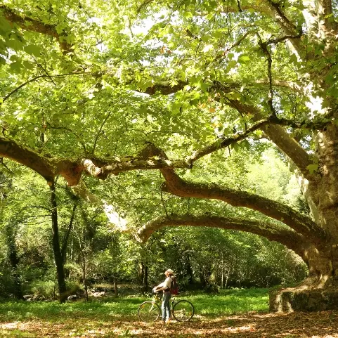 Peyrassoulat_cheronnac_2019
