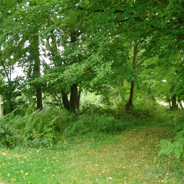 Itinéraire de la Croix Robert_1