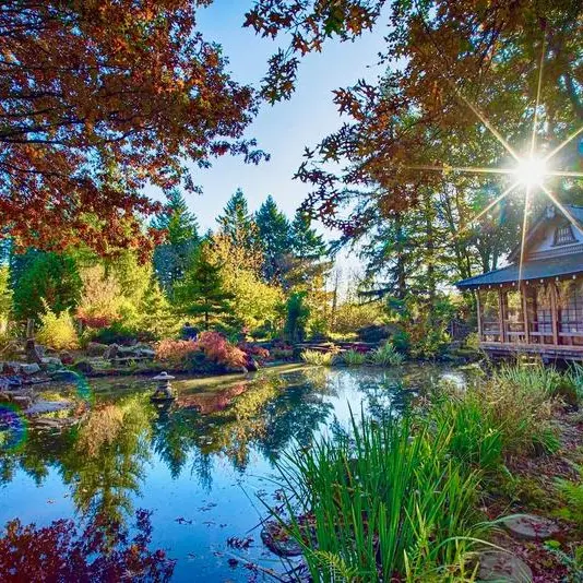 jardin japonais