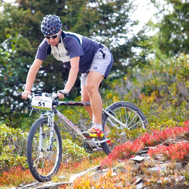 VTT