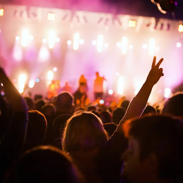 People on music concert
