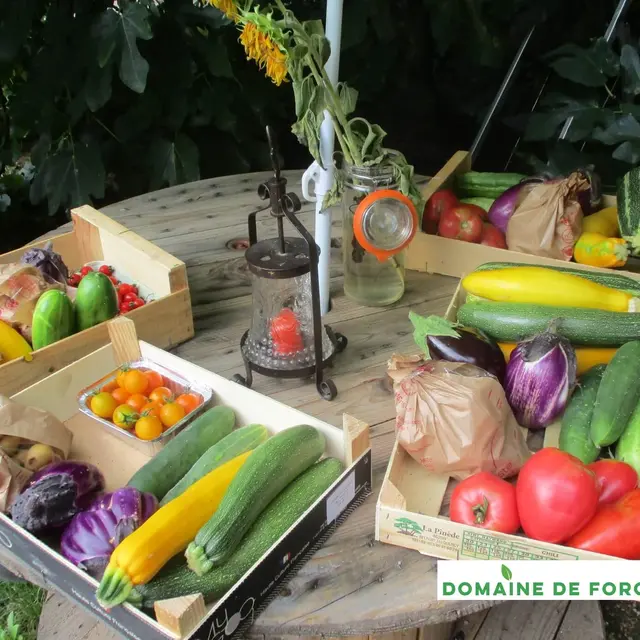 potager de la forge