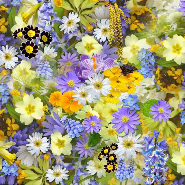 Fête des Plantes, du Jardin et de la Nature