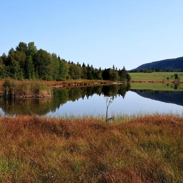 rauschenberger-lake-5577094_1920