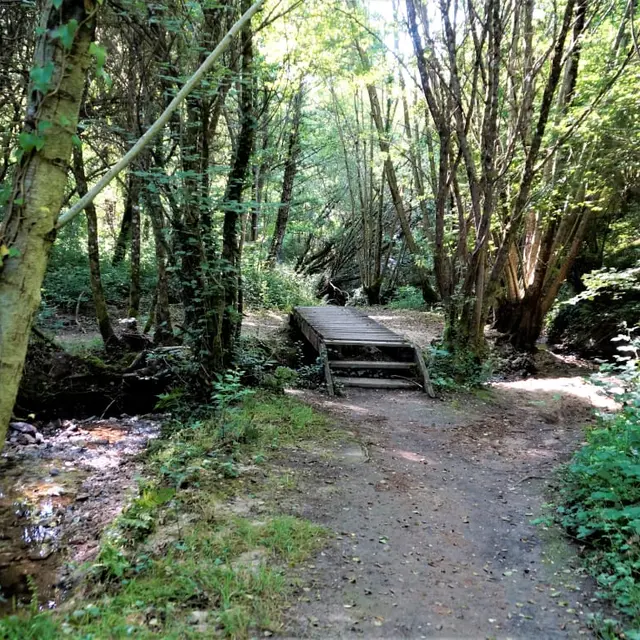 ruisseau du Mas Gigou