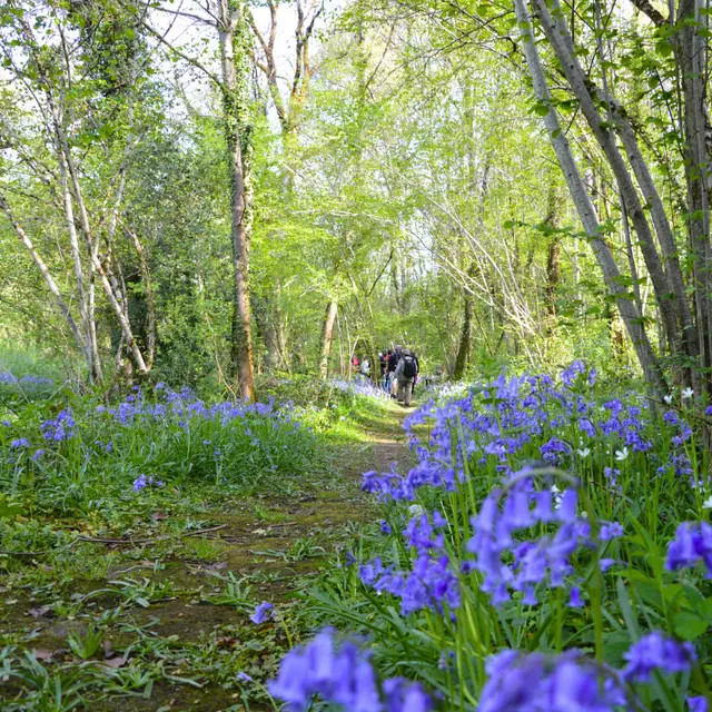 retouches photos Tourinsoft - 3