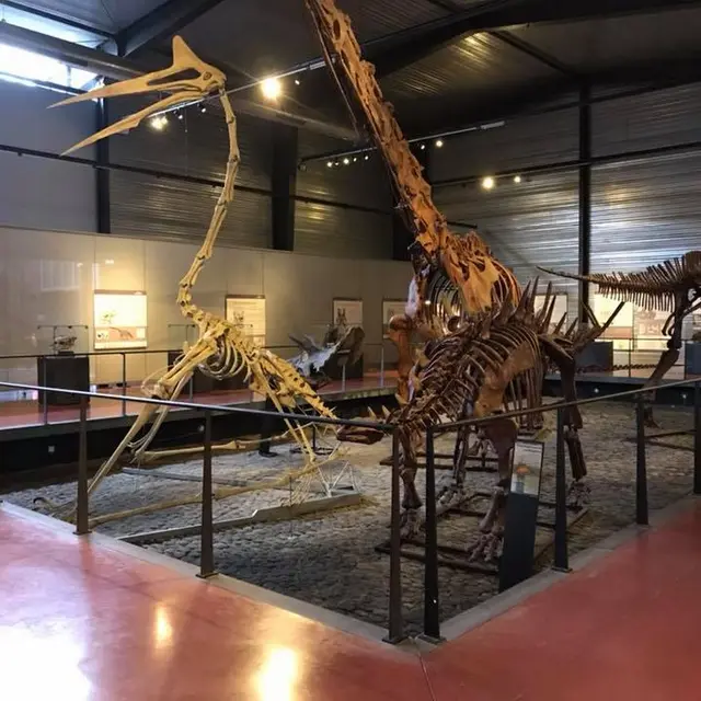 MUSEE DES DINOSAURES