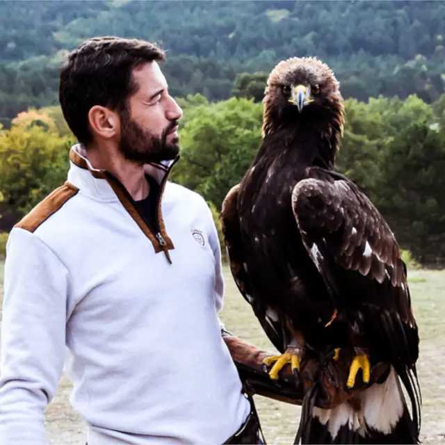 -cyril-orliac-fauconnerie (2)