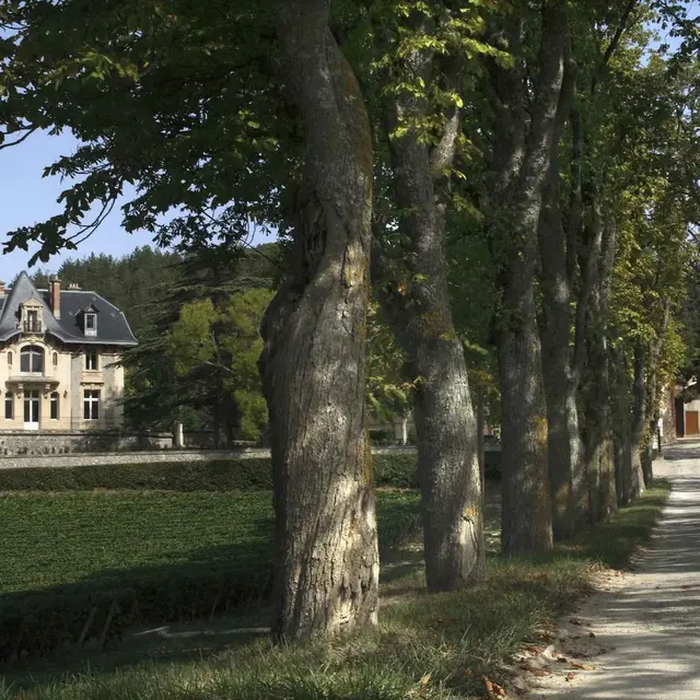 Visite Escapade - Baronarques