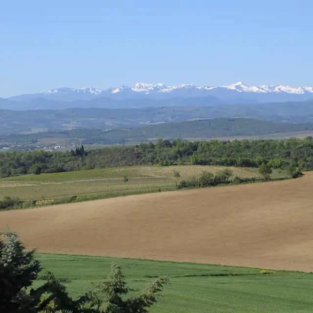 11G900045 Domaine de Granet - MALEPERE_1