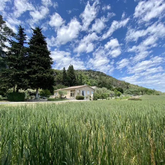 11G1168 - La Blanquetierre_1