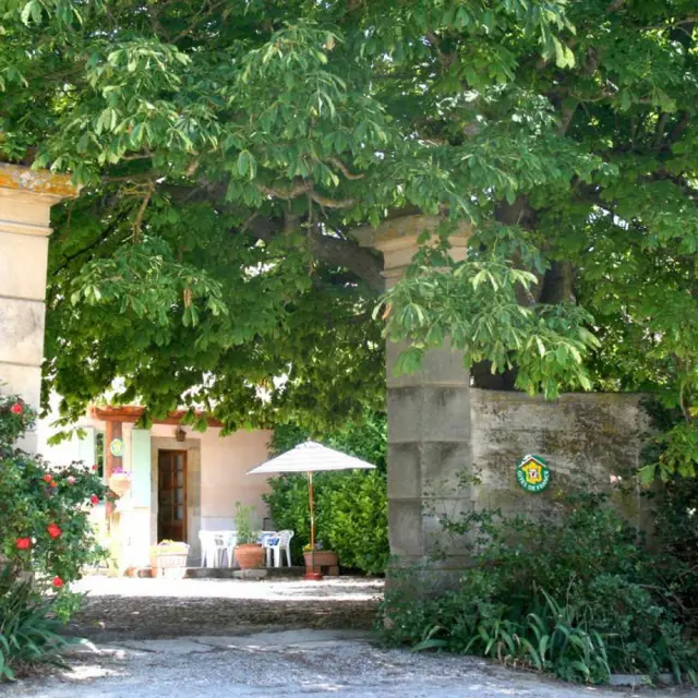 11G1582 - Le Maronnier_1