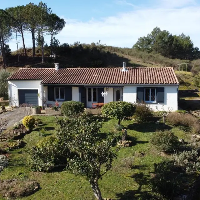 11G3594 - Sambacacia x2_1