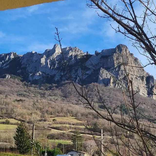 11G3619 - Grand Sissou_3