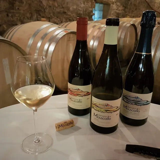 Domaine de Mouscaillo