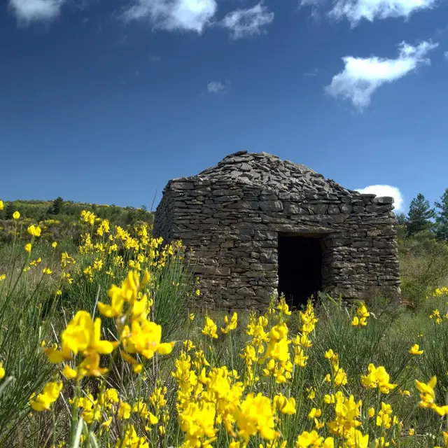 Capitelles paysage_Coustaussa