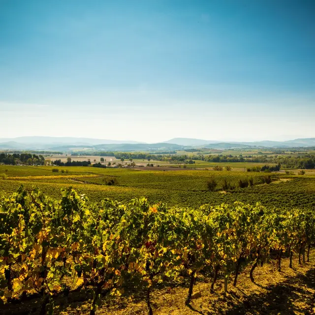 Chateau Guilhem-Malvies_11