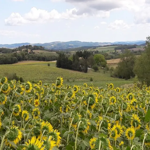 Esceuillens - LAFFONT - Gite du Mehnir vue de la campagne depuis les collines environnantes (3)