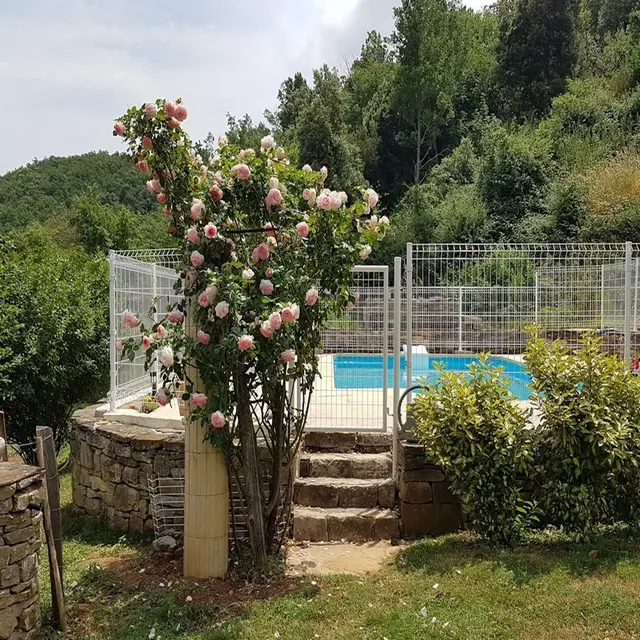 HLO - COUSTAUSSA - TOURNIER - vue sur la piscine 2