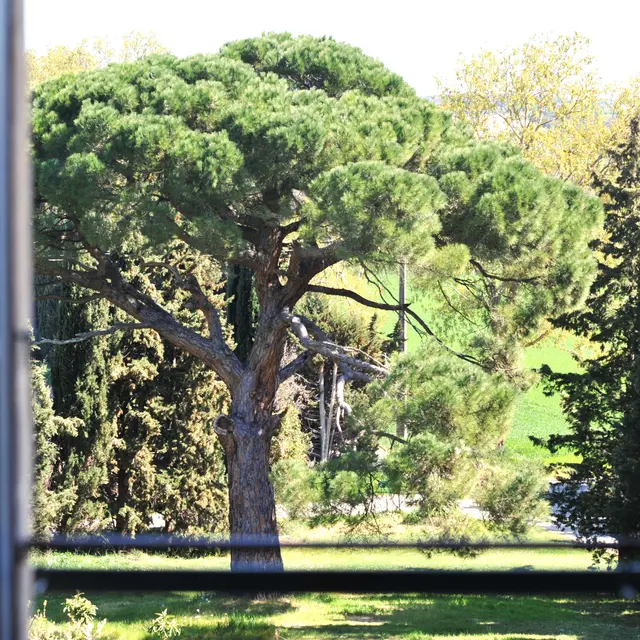 LA SALUTIERE 2025  (1)