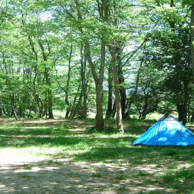 LAVALDIEU Camping Emplacements