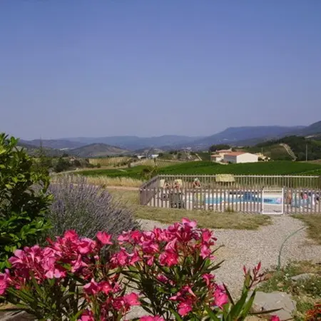ENTRE LES VIGNES - GÎTE LE CHARDONNAY