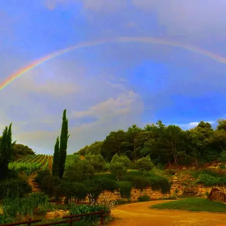 RESLAR011V50BASZ - 2019 (1)