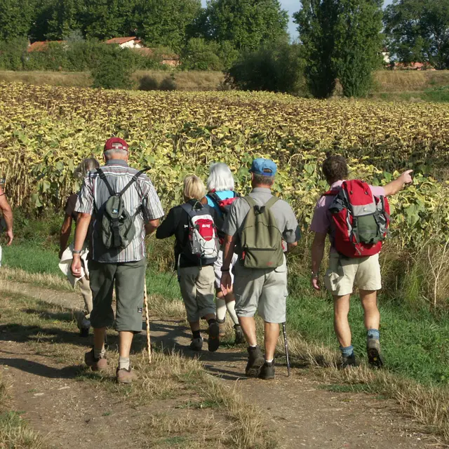 RANDO RAZÈS