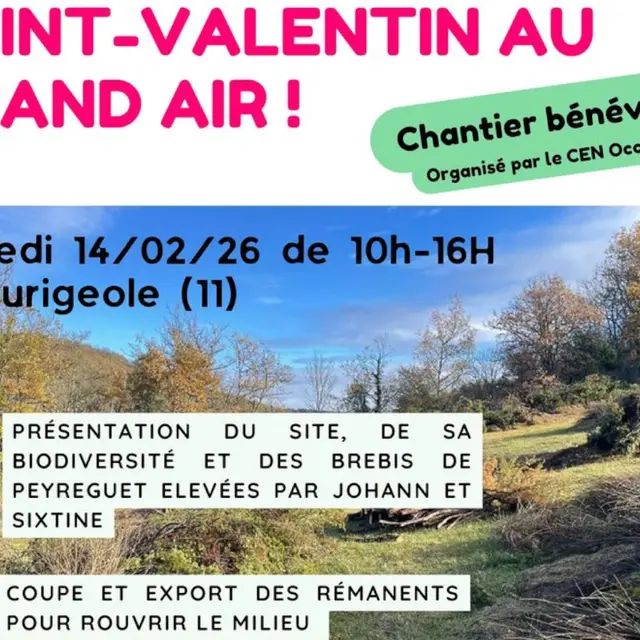Chantier nature pour la St Valentin